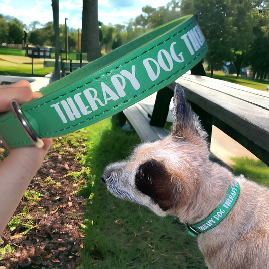 'Therapy Dog' Dog Collar