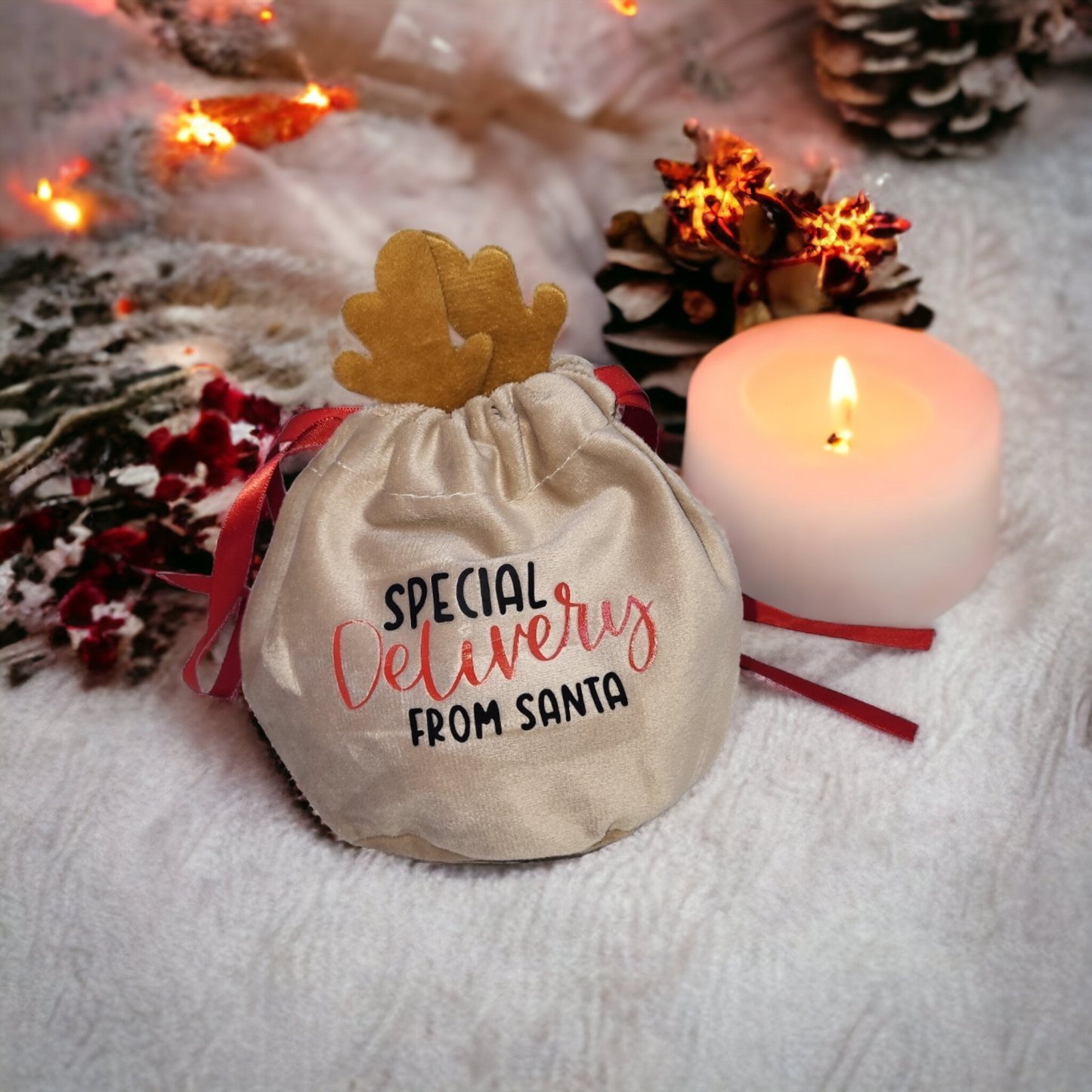 Special Delivery Reindeer Pouches