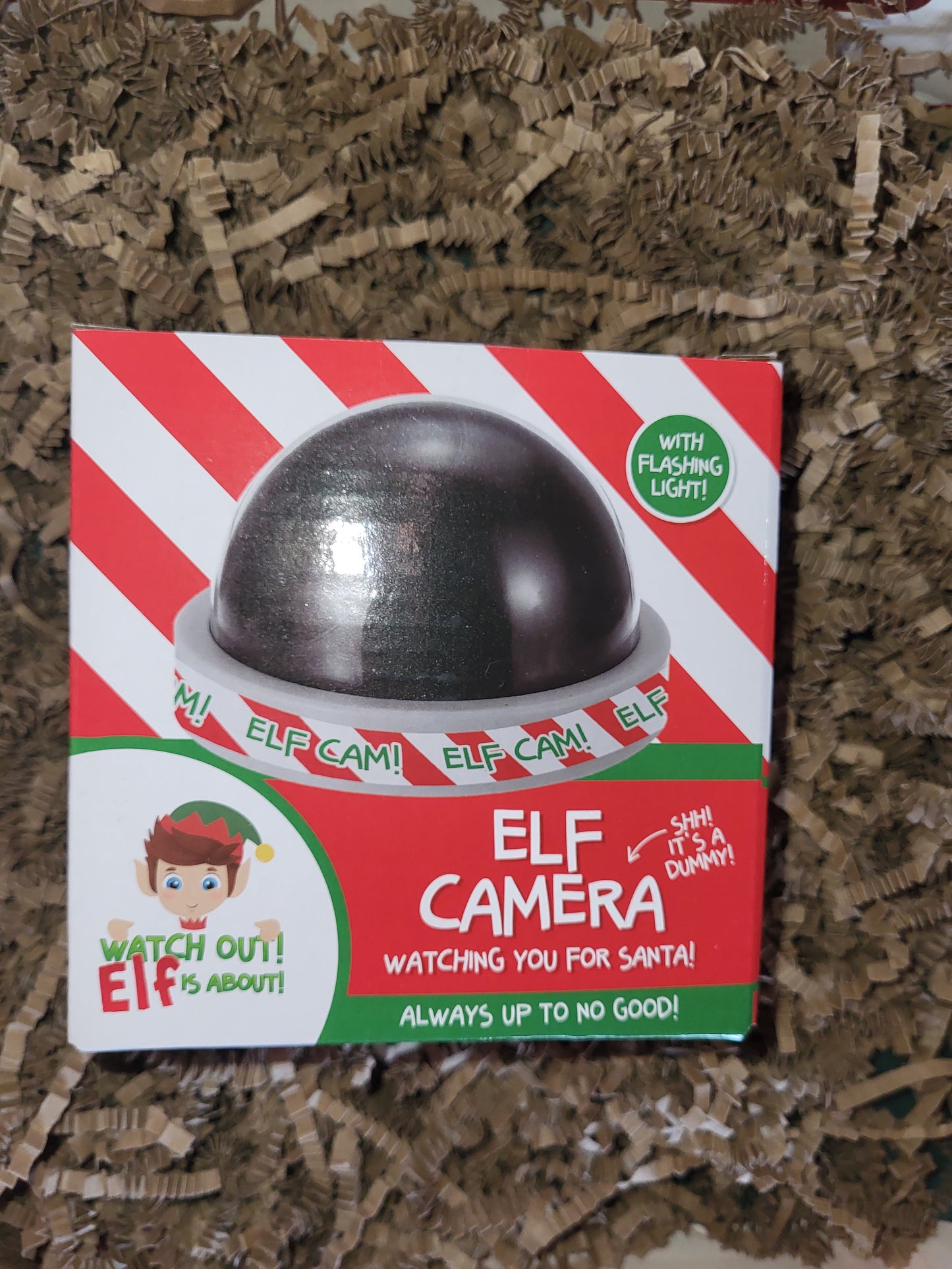 Elf (Dummy) Camera